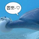 따봉여행사 이미지