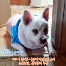 덕암초등학교 이미지