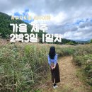 강씨부엌 제주흑돼지 | 제주도2박3일여행코스 제주택시투어후기 (feat. 유자씨)