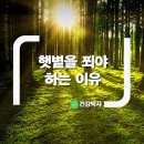 햇볕을 쬐야 하는 이유 이미지