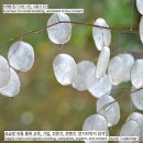 은은통신 이미지