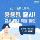 ‼링고부트캠프 응용편 출시 기념 - 25주 프로그램 특별 할인‼ 영어 이미지