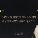 어린왕자 이미지