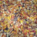 성복역탑공인중개사사무소 이미지