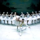 프렌치 챔버오케스트라 이미지