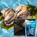 완도전복 이미지