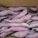 혜성농장 이미지