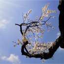 김해건설공업고등학교 이미지