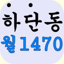동아대앞거리1 이미지