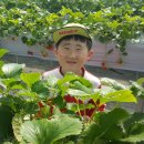 김태경 농장 이미지