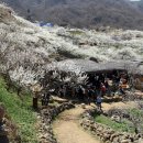 신사1-011 이미지