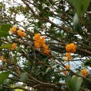 설마리 전투공원 이미지