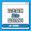 감초로 | 감초열매 효능 알아보기