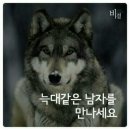 푸른늑대