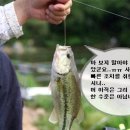 안국지 이미지