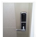 비즈트위트 레인보우 이미지