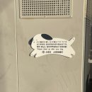 주식회사 엠트리센 | 에이ㅋㅋ 누가 한 달에 일본 두 번이나 가~