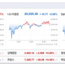 미장 이미지
