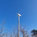 서부면 죽도마을회관 | 홍성 죽도, 아이들과 월요일에 다녀온 작은 섬 여행