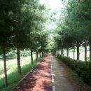 칠곡면사무소 이미지