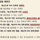 로또판매점 티스토리