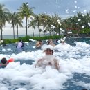 (주)러브토키닷컴 | 노보텔 푸꾸옥 디럭스 더블룸 숙박후기(조식, 인피니티풀 수영장 폼파티, 룸서비스, 부대시설)