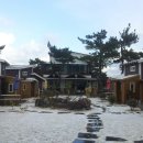 아소낭 Daum카페