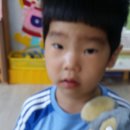 뽀드독 이미지