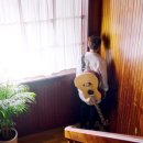 몽글몽글 이미지