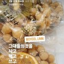 오란다 | 소소 오란다 후기들을 정리해 보았다.