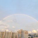 행운 행정사사무소 이미지