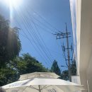 클룹 제로소다 리조트 팝업스토어 방문 후기! with 애드레날린