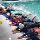 수영초등 이미지