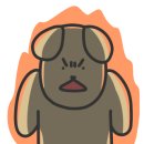 거북애견 이미지