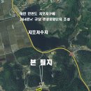 솔향이 진한 이미지