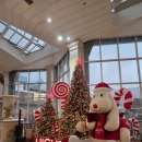 슬롯랜드 | 강원랜드 하이원 그랜드호텔 컨벤션타워 코너룸 뷰 주차 후기