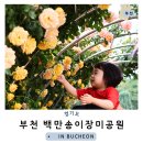 도당 공영 주차장 이미지