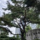 분당-360 이미지