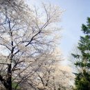 서운동산 이미지