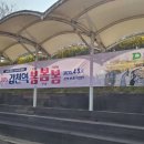 갑천역 | 갑천의 봄소식과 갑천역봄봄봄 행사 안내(무료포토부스)