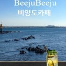 비양도 봄날 민박 이미지