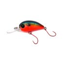 취병낚시터 이미지