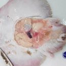 (주)동양냉장 이미지