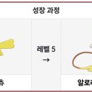 알로라상점