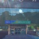 금산농업협동조합 하나로마트 이미지