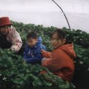 한솔이네농장 이미지