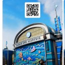 도쿄 여행 | 도쿄 디즈니씨 어트랙션 11번 탑승 후기 (오픈런 대기, DPA구매방법, 40주년패스, 운행중지...
