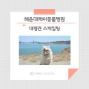 해운대 케이 동물병원 이미지