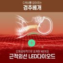 다원솔루션 이미지
