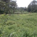 제주리조텔 이미지